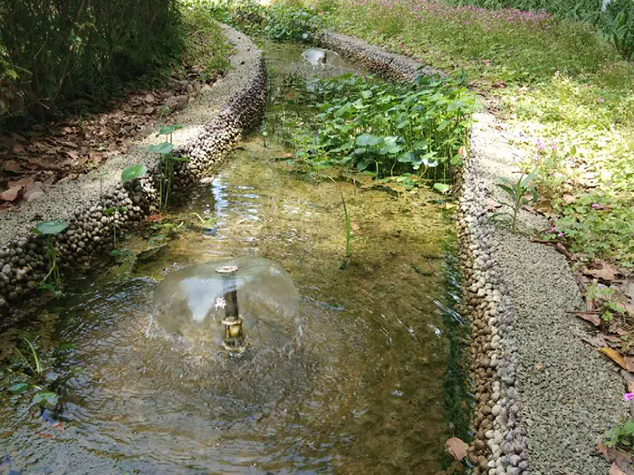 水景觀生態(tài)自循環(huán)系統(tǒng)