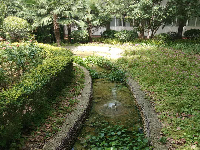 水景觀生態(tài)自循環(huán)系統(tǒng)