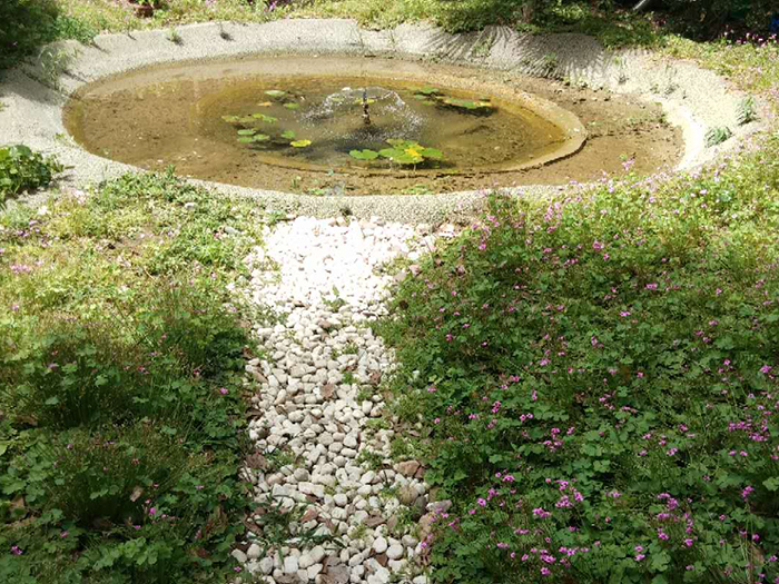 水景觀生態(tài)自循環(huán)系統(tǒng)