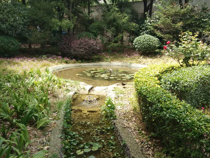 水景觀生態(tài)自循環(huán)系統(tǒng)